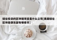 硅谷投资的区块链项目是什么公司[美国硅谷区块链俱乐部有哪些币]